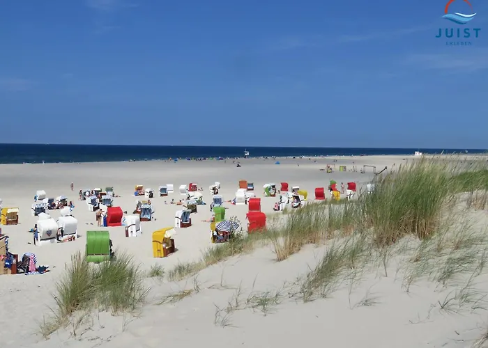 Haus Deichgraf 177 - 7 公寓