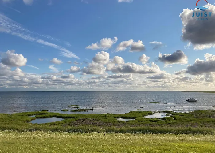 Haus Deichgraf 177 - 7 *